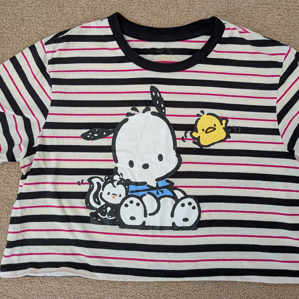 Sanrio Pochacoo